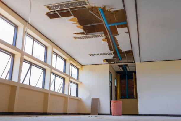 Best Flooded house restoration  in Forked River, NJ