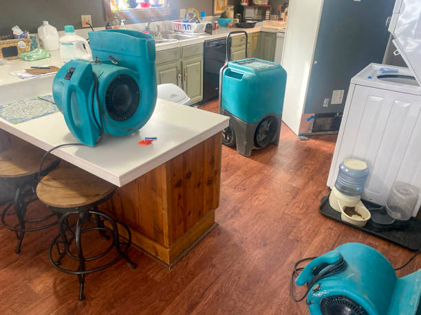 Carpet water damage restoration in Forked River, NJ