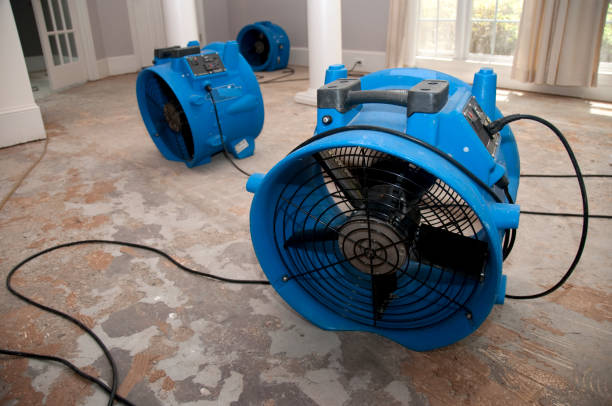 Best Fire Damage Restoration  in Forked River, NJ