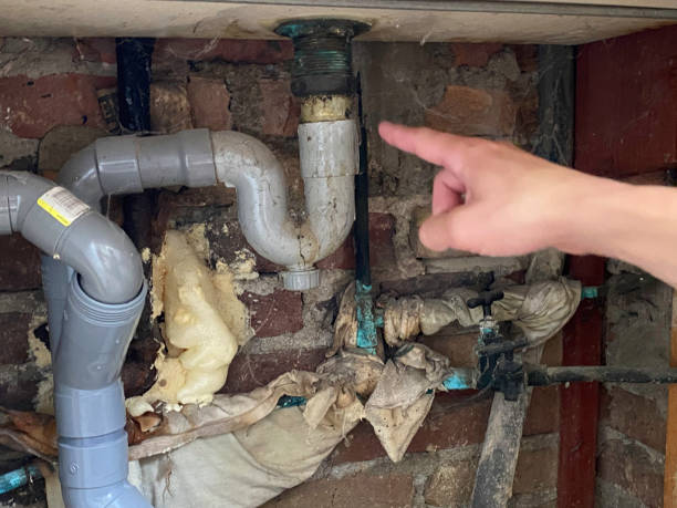 Best Water damage restoration mold remediation  in Forked River, NJ